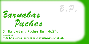 barnabas puches business card